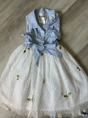 Rare Editions 4t dress